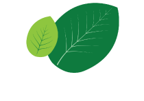 Serene Heights